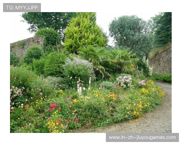 ¦ó+¡-++=+ã+«+®¢¿¦µ¦¦¤»ÊÈËªÂÈÂÓ¤¯i¸i¢